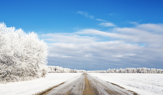 A gravel road cutting through a white winter landscape with frost covered forest of trees in a rural scene
