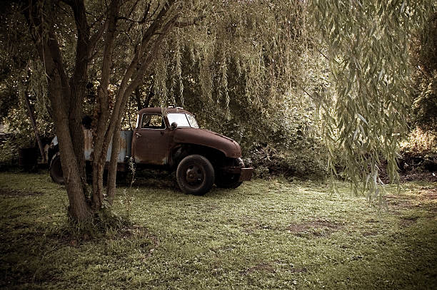 istock Antique Truck And Weeping Willow 90914971
