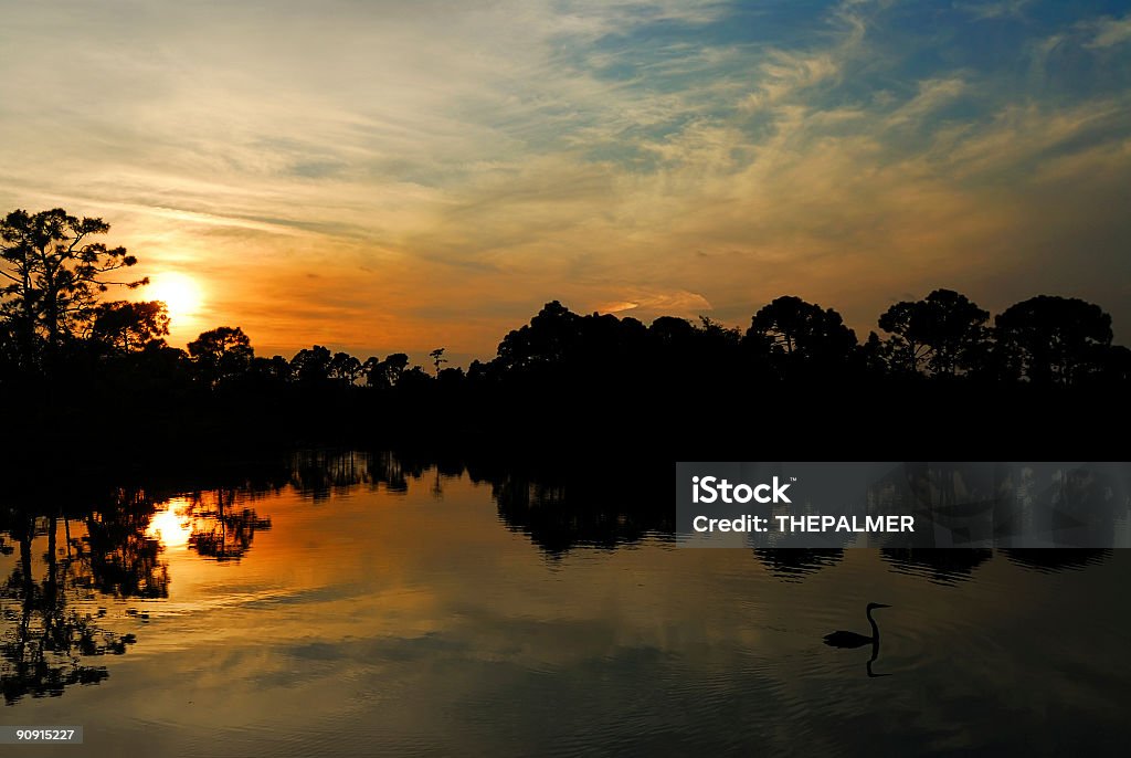 Egretta e tramonto - Foto stock royalty-free di Aiuola