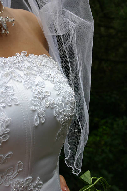 Vestidos Para Novia Civil - Banco de fotos e imágenes de stock - iStock Vestidos Para Novia Civil - Banco de fotos e imágenes de stock - iStock