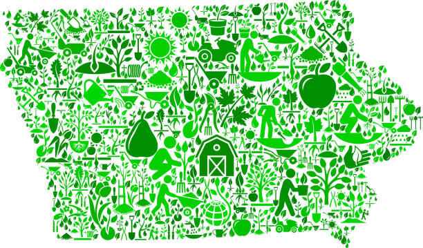 Iowa Garden and Gardening Vector Icon Pattern Iowa Garden and Gardening Vector Icon Pattern. The vector icons fill the outline of the main shape depicted in this illustration and form a seamless pattern. These garden and gardening icons vary in size and in the shade of the green color. The icons include classic gardening symbols such as the gardener, watering can, plants and many others. farmer tractor iowa farm stock illustrations