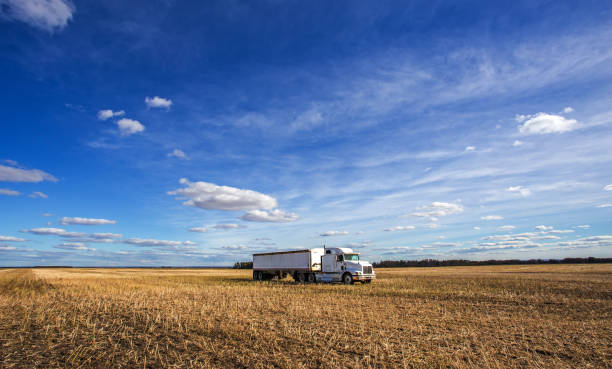 A tractor and trailer parked in harvested field Heavy transport truck and trailer parked in a golden harvested field under a cloudy and sunny countryside autumn landscape threshing stock pictures, royalty-free photos & images