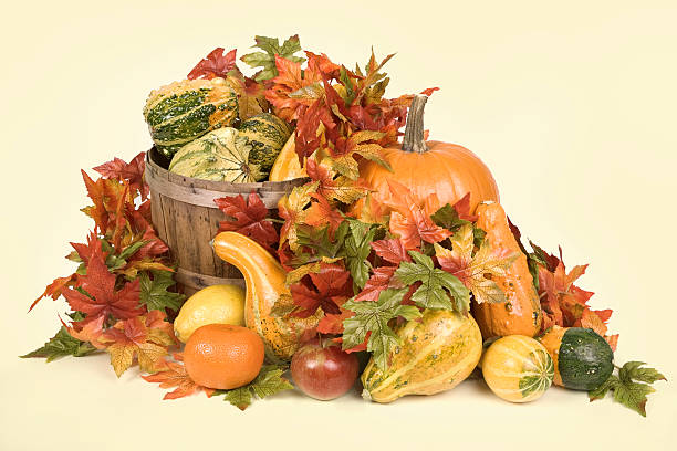 istock Collection Of Gourds 90915685