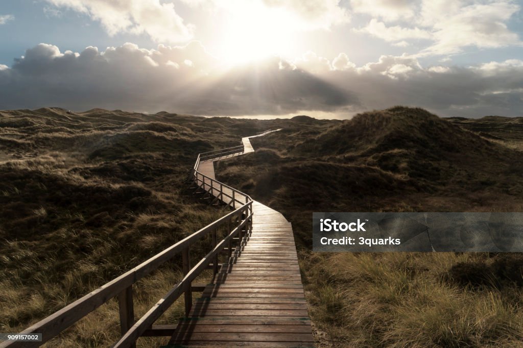 Dunes on the North Frisian Island Amrum in Germany Footpath Stock Photo