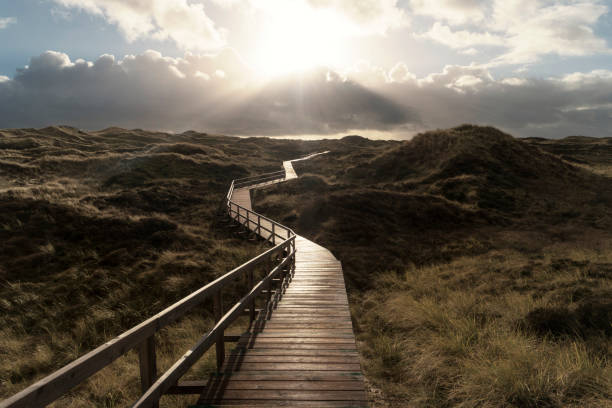 Dunes on the North Frisian Island Amrum in Germany stock photo