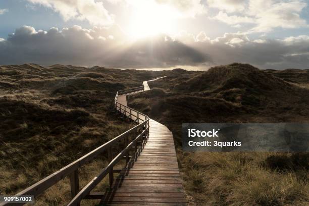 Dunes On The North Frisian Island Amrum In Germany Stock Photo - Download Image Now - Footpath, Horizon, Lighting Equipment