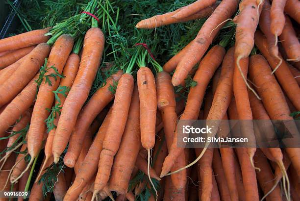 Bunches Из Моркови — стоковые фотографии и другие картинки Без людей - Без людей, Вегетарианское питание, Витамин А