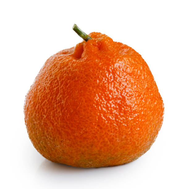 istock A single whole mandarin with a stem isolated on white. 909161136