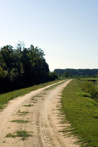 istock Country Dirt Road I 90916344
