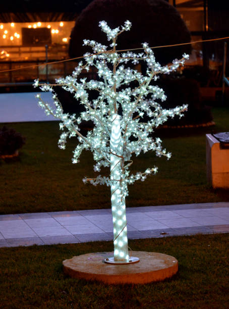 istock Illuminated christmas tree, decoration in the city 909163970