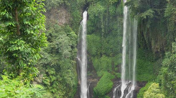 istock Beautiful tropical waterfall. Bali,Indonesia 909167006