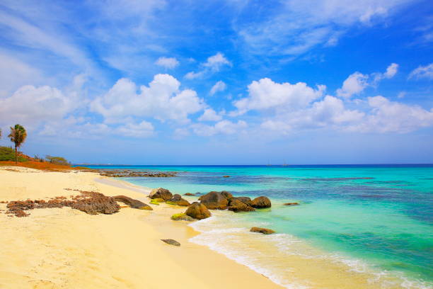 tropikalna turkusowa plaża z żaglówkami żeglarskimi, turks i caicos, morze karaibskie - turks and caicos islands caicos islands bahamas island zdjęcia i obrazy z banku zdjęć