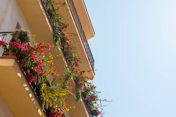istock Building with balconies decorated flowers 909172844