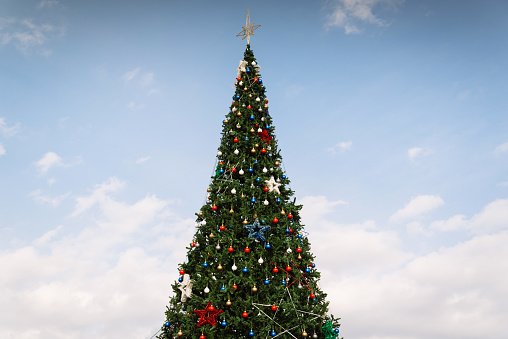 Christmas tree in the city on a clear day against a clear blue sky