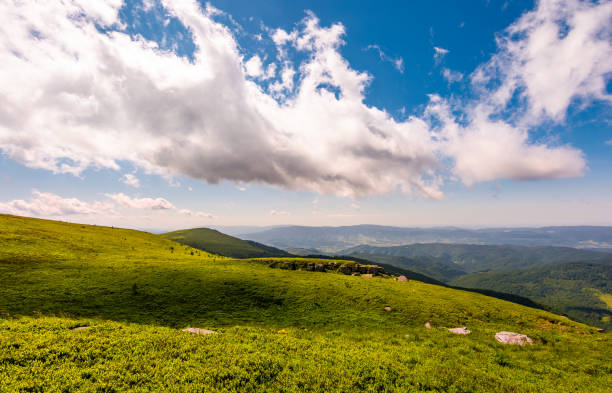 istock grassy meadow on mountain hills 909175962