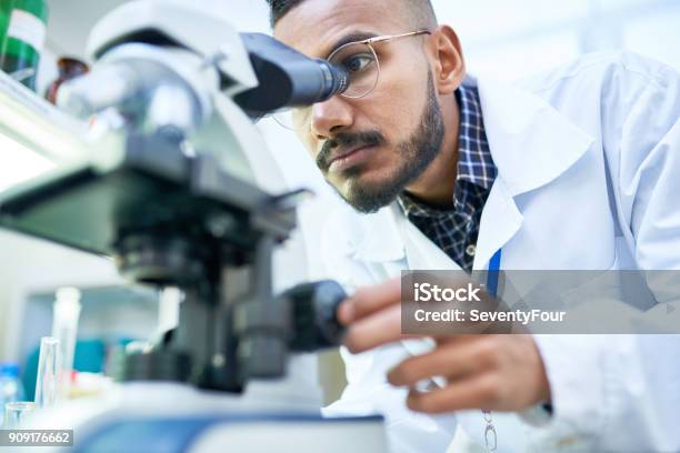 Scienziato Che Usa Il Microscopio In Laboratorio - Fotografie stock e altre immagini di Laboratorio - Laboratorio, Scienziato, Ricerca