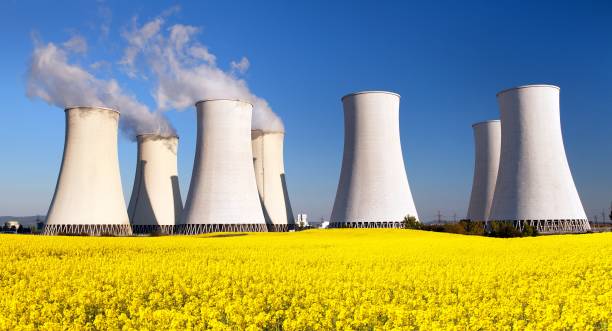 istock Nuclear power plant, cooling tower, field of rapeseed 909184414