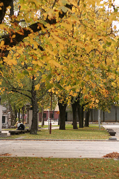 istock Autumn in the City 90918539