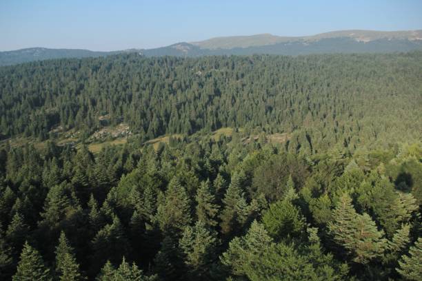 istock Nature and landscape photos 909190952