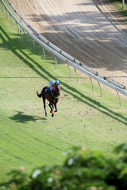 istock Horse Racing from above 6 90919166
