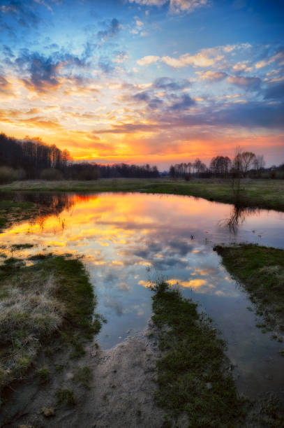istock spring morning. dawn near a picturesque river 909192236