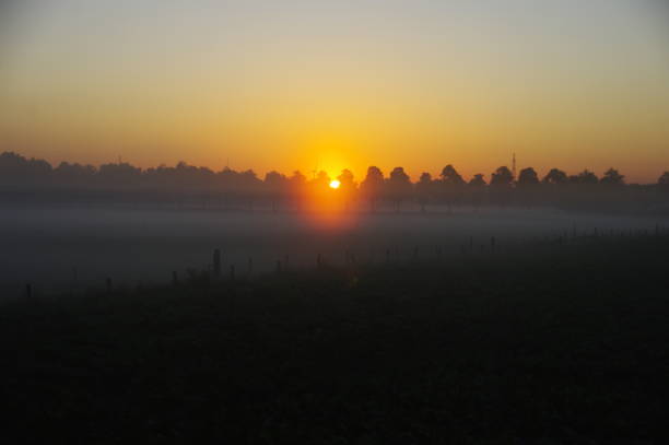 istock Sunrise in the country 909192276