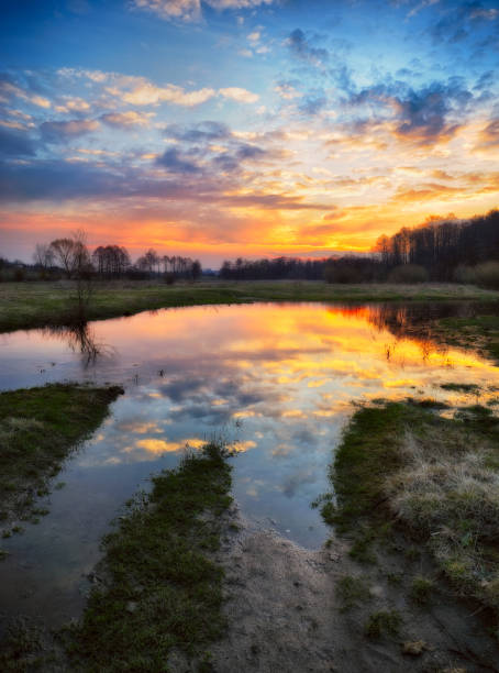istock spring morning. dawn near a picturesque river 909192404
