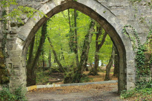 istock Nature and landscape photos 909192744