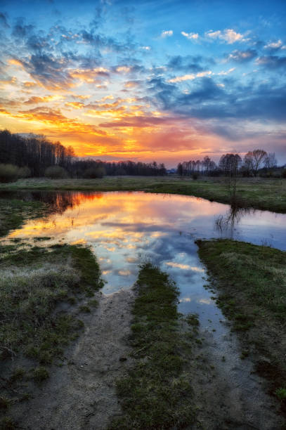 istock spring morning. dawn near a picturesque river 909192788