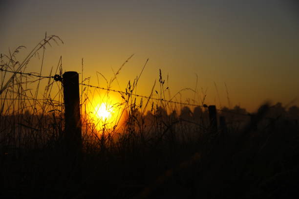 istock Sunrise in the country 909192932