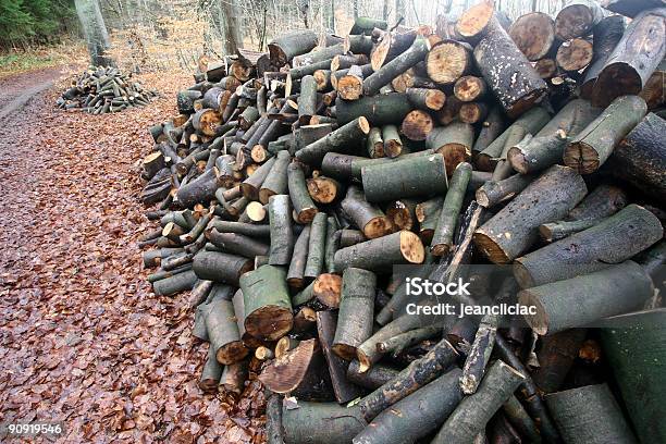 Foto de Floresta e mais fotos de stock de Arbusto - Arbusto, Biomassa - Energia renovável, Bosque - Floresta