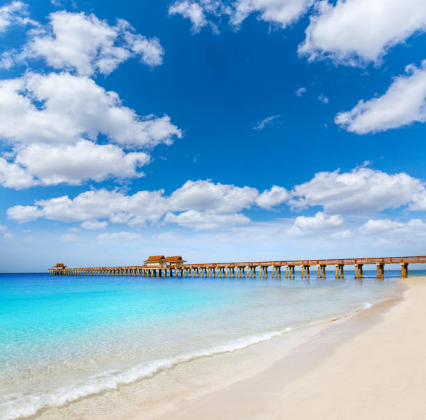 Naples Pier and beach in florida USA Naples Pier and beach in florida USA sunny day naples beach stock pictures, royalty-free photos & images