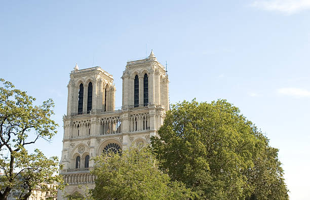 Catedral de Notre Dame en París con palmeras y cielo azul - foto de stock