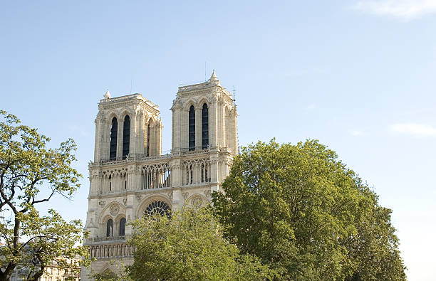 아미앵 캐서드럴 파리, 나무, 파란 하늘 - rose window ile de la cite paris france notre dame 뉴스 사진 이미지