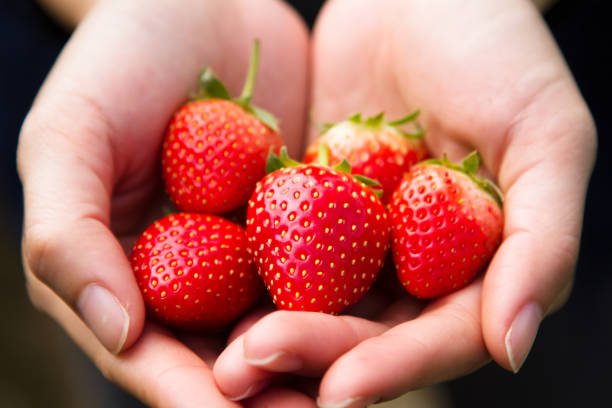 istock Juicy Strawberry on woman hand 909196892