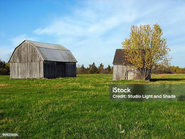 늙음 압살했다 Barns 녹색 필드 0명에 대한 스톡 사진 및 기타 이미지 - 0명, 10월, 가을