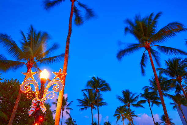 istock Miami Beach South Beach sunset palm trees Florida 909200504