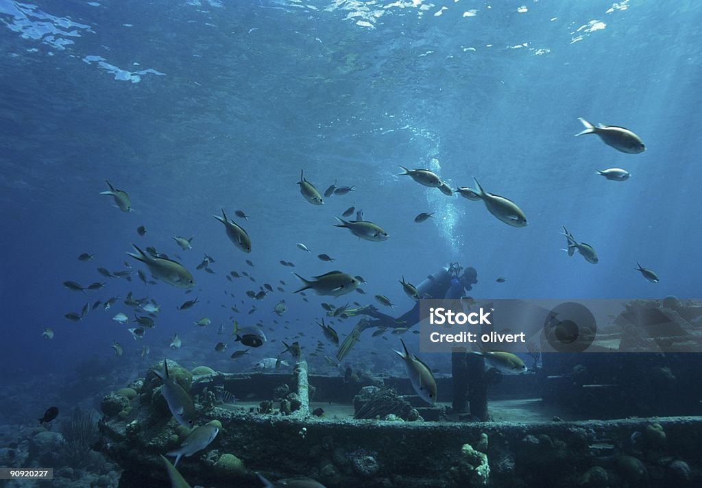 Diving Karibik Meer - Lizenzfrei Abenteuer Stock-Foto
