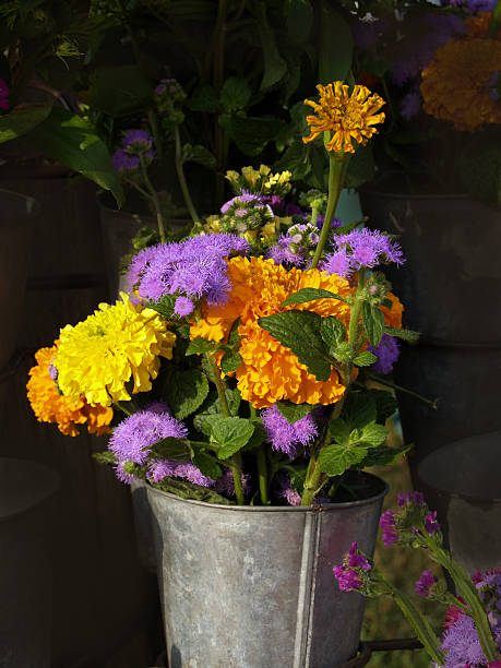 istock Flowers in a bucket 90920778
