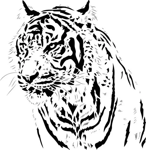 Vector illustration of Tiger portrait in black lines