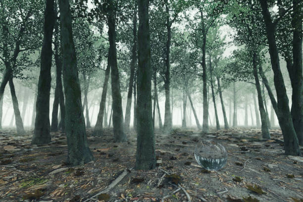 istock 3d rendering of foggy forest 909209188