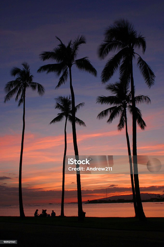 Силуэт, закат, Sunrise, Пальма в Оаху - Стоковые фото Royal Palm роялти-фри