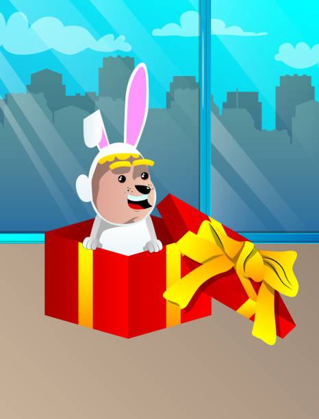 junge als osterhase verkleidet in einer geschenkbox geliefert. - easter rabbit baby rabbit mascot stock-grafiken, -clipart, -cartoons und -symbole