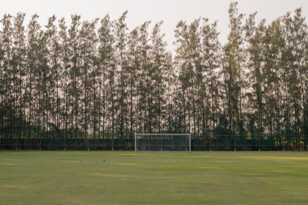 istock football fieldwith sun set 909231458