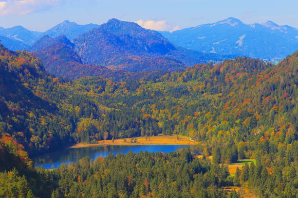 lago idilliaco delle alpi nelle alpi bavaresi, catena montuosa del karwendel - fussen e hohenschangau - germania - forest landscape pine tree snow foto e immagini stock