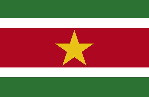 Suriname flat flag