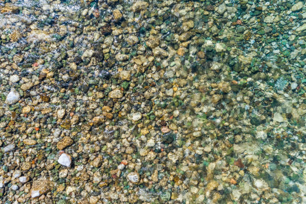 istock Stony bottom of the river under transparent water 909232966