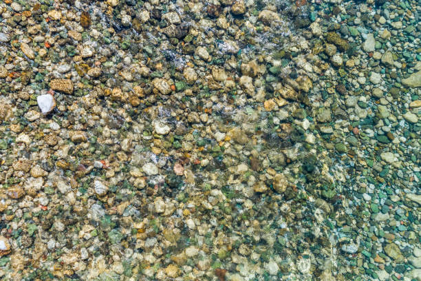 istock Stony bottom of the river under transparent water 909233114
