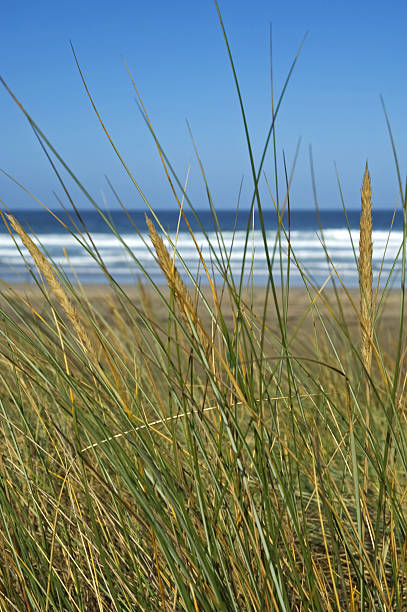 secluded beach stock photo