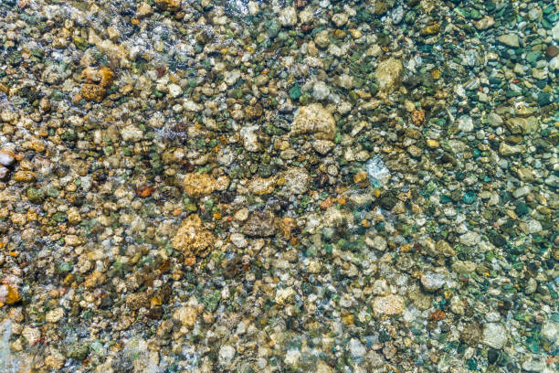 istock Stony bottom of the river under transparent water 909235432